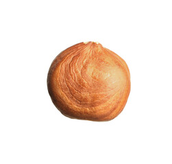 Tasty organic hazelnut isolated on white. Healthy snack