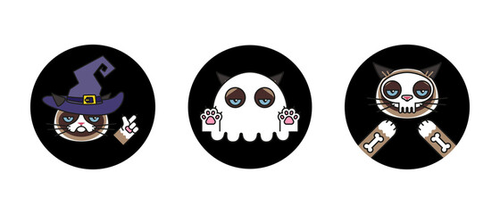 Halloween stickers. Cat in skeleton, witch, ghost