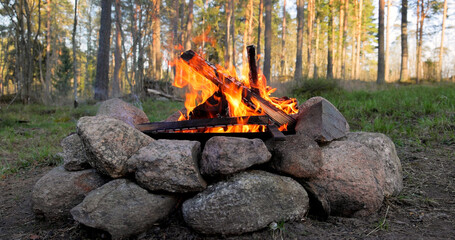 Burning Campfire in the forest