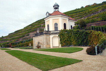 Fototapeta na wymiar Weinberg Schloss Wackerbarth