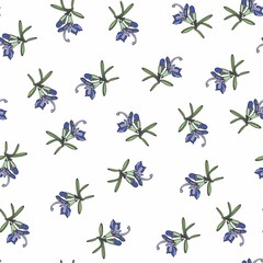 Herbal seamless pattern with rosemary in bloom on white background. Backdrop with blooming fragrant herb. Elegant vector illustration in vintage style for wrapping paper, fabric print, wallpaper