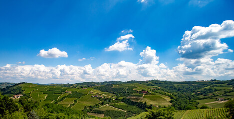  Paesaggio - Piemonte - Langhe - Mango - Italia