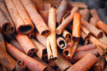 Cinnamon Sticks at a Market Stall, Dubai Souk