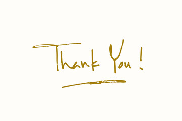 Fototapeta premium Thank You Text Handwritten Gold Brush Lettering Calligraphy with Simple Underline isolated on White Background. Greeting Card Vector Illustration. Flat Design Template Element.