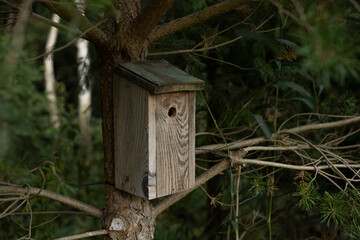 wooden birdhouse hanging on a tree in garden