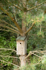 wooden birdhouse hanging on a tree in garden