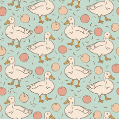 Vector seamless pattern with domestic duck and apples. Design with hand drawn duck and apples.
