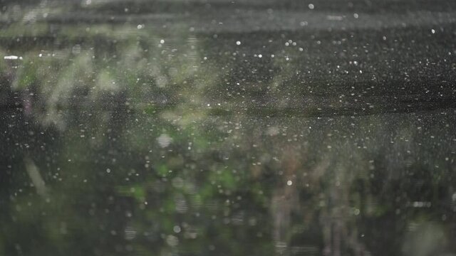 Mosquitoes flying over the water in slow-motion