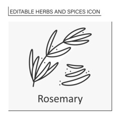 Rosemary line icon. Evergreen aromatic shrub for cooking to add flavor. Strong-smelling seasoning. Herbs and spices concept. Isolated vector illustration. Editable stroke