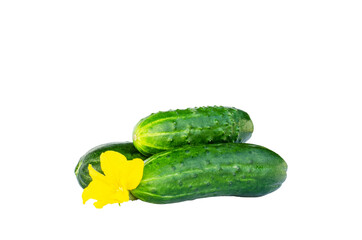 Three green cucumbers isolated on a white background