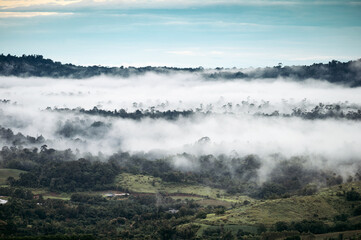 Scenery of foggy mountain in rainforest on rainy day in the morning at national park