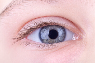 Obraz premium the eye is open. studio lighting. a girl, a teenage macro. close-up.