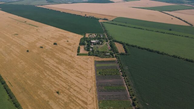 Aerial drone shot of farmhouse among green fields in British countryside. Birds eye view of harvest field, midwestern farm. Rural landscape, countryside in summer. Harvesting wheat season