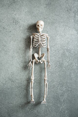 Little toy skeleton over grey background, minimalistic Halloween concept