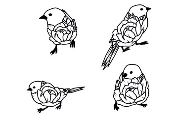 Vector doodle coloring book page cute birds in flowers. Antistress for adults and children