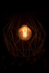 Fototapeta na wymiar Retro Decoration Incandescent light bulb - texture, background