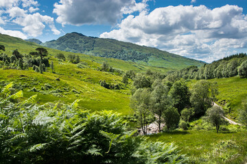 Along the West highland Way in Scotland. The hiking trail follows the green landscapes of the Glen Falloch valley.