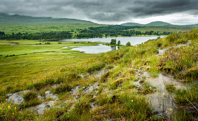 Landscape along the West highland Way in Scotland. Water trickles into the moor near Loch Tulla on...
