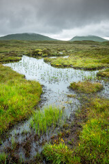 Fototapeta premium Landscape along the West highland Way in Scotland. a view of Rannoch moor, between moor and marsh, in the rain.