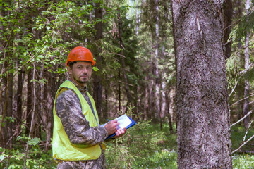 Forest engineer makes forest inventory. A forest engineer works in the forest.