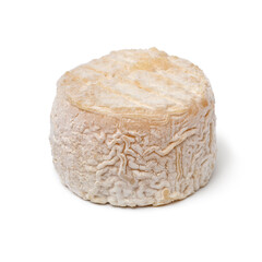 Single whole French small goat cheese isolated on white background 