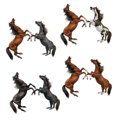  cheval, silhouette, combat, étalon, animal, illustration cavalier, galop, conception, course, mammifère, sauvage, chat, sport, amoureux des chevaux, crin
