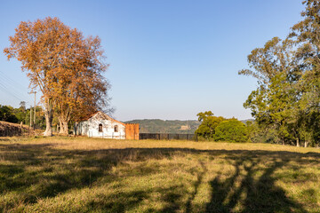 Plakat Stone house with trees and field