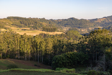 Fototapeta na wymiar Farm fields in a valley with forest