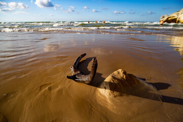 Puglia - Mare -spiaggia - schiuma - onde