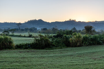 Fototapeta na wymiar Farm field at sunrise with mountain and forest