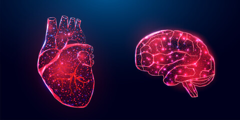 Human heart and brain. Wireframe low poly style. Abstract modern 3d vector illustration on dark blue background.