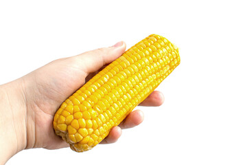 boiled corn in hand on white background