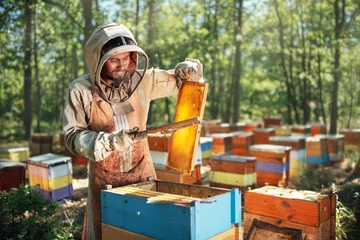 Fotobehang The beekeeper uses a bee brush. The process of harvest honey in the apiary. © Аrtranq