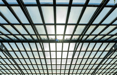 Structure of metal beams with glass, inside a greenhouse.