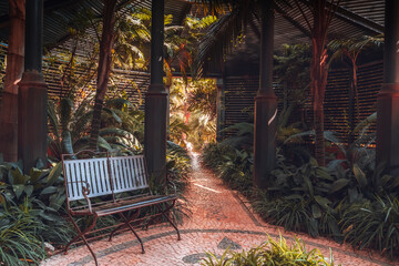 Metal chairs in the interior of a botanical garden, in a romantic style.