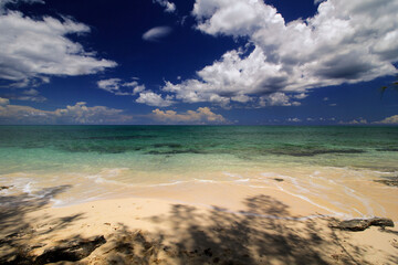 The beach on beautiful sun filled day with beautiful sea water  and white fluffy clouds