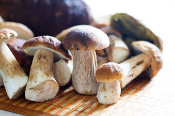 edible boletus mushrooms on the table. Autumn mushrooms