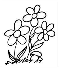 Flowers and mushrooms. Coloring. Vector