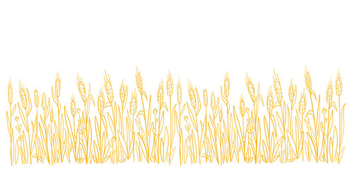 Wheat field. Hand drawn sketch. Agriculture cereal harvest. Bread wrapper. Dry rye grass straw. Horizontal banner.