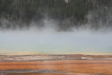 Geyser pool with steam, forest and colorful bacteria