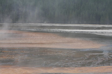 geyser pool with bacteria
Yellowstone National Park