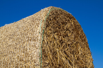 Hay bales (hay balls, haycock or haystack) on a farm field.