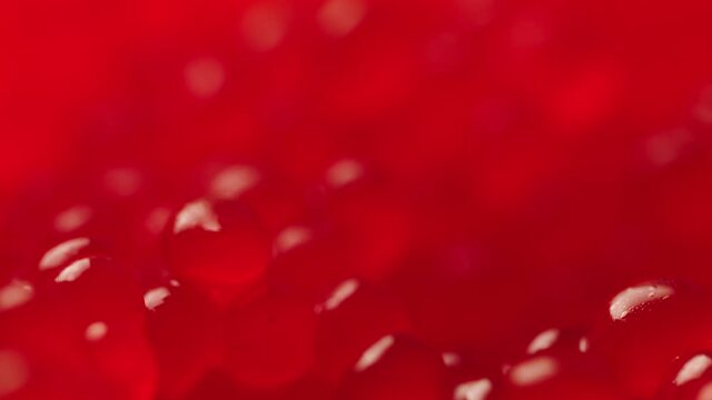  the caviar is out of focus. refocusing
