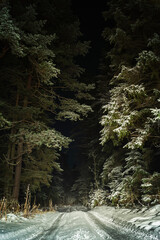 Snowy forest road at deep night. An ominous thicket on a cold winter evening