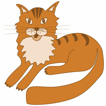 vector image of a red cat Maine coon in a cartoon style