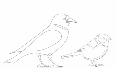 one continuous line drawing, sketch, birds