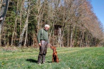 On a beautiful spring afternoon, a hunter trains his Irish Setter Pointer on the large meadow in front of his Hunting Pulpit...