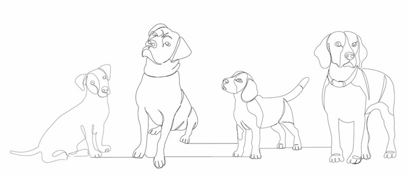 one continuous line drawing, sketch, dogs