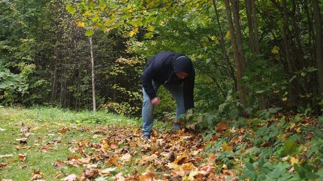a man in jeans and boots walking on fallen leaves.golden autumn. park