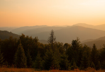 dramatic mountain hills sunset scenic view with pine trees forest and abstract soft focus highland ridge background horizon and orange evening sky and empty copy space - obrazy, fototapety, plakaty
